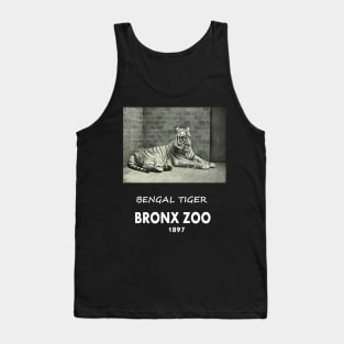 ART OF ZOO - BENGAL TIGERPHOTOGRAPH ~BRONX ZOO -1897 Tank Top